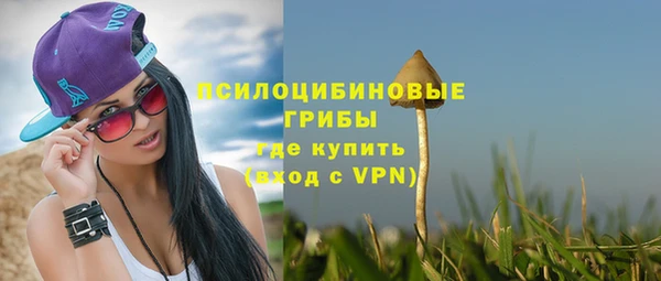 скорость Алзамай