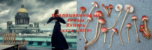 скорость Алзамай